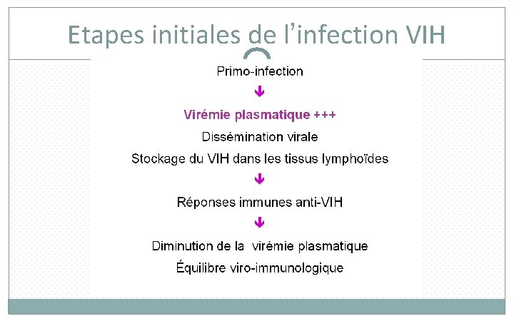 Etapes initiales de l’infection VIH 15 