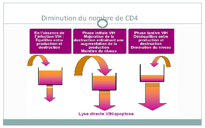 Diminution du nombre de CD 4 18 