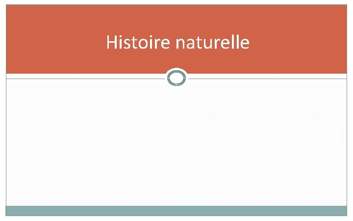 Histoire naturelle 20 