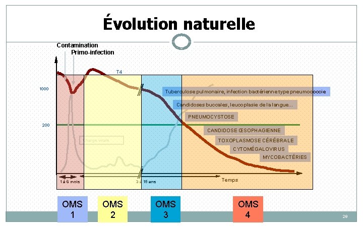 Évolution naturelle Contamination Primo-infection T 4 1000 Tuberculose pulmonaire, infection bactérienne type pneumococcie Candidoses