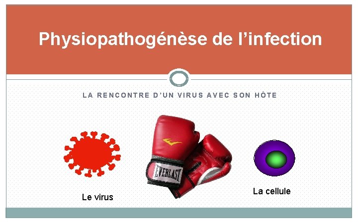 Physiopathogénèse de l’infection LA RENCONTRE D’UN VIRUS AVEC SON HÔTE Le virus La cellule