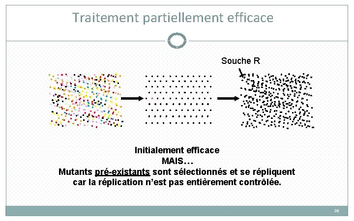 Traitement partiellement efficace Souche R Initialement efficace MAIS… Mutants pré-existants sont sélectionnés et se