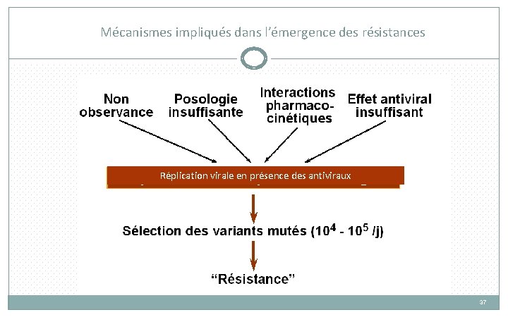 Mécanismes impliqués dans l’émergence des résistances Réplication virale en présence des antiviraux 37 