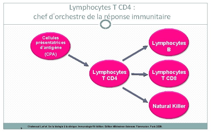 Lymphocytes T CD 4 : chef d’orchestre de la réponse immunitaire Cellules présentatrices d’antigène