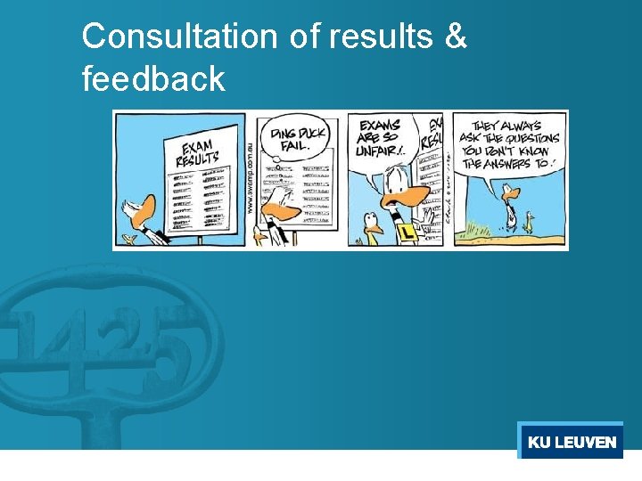 Consultation of results & feedback 
