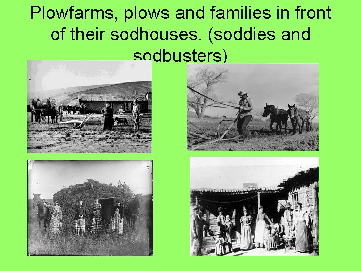 Plowfarms, plows and families in front of their sodhouses. (soddies and sodbusters) 