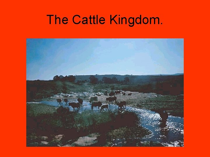 The Cattle Kingdom. 