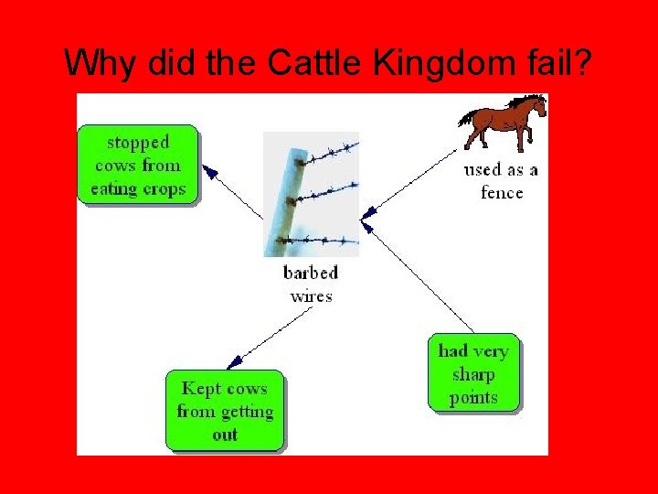 Why did the Cattle Kingdom fail? 