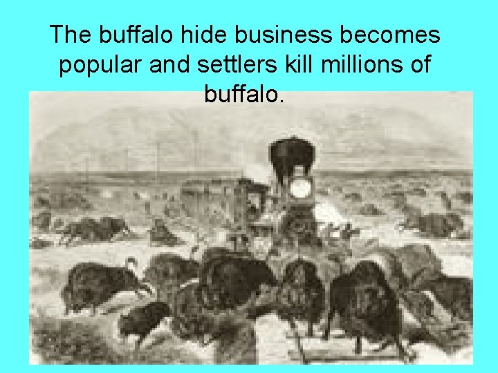 The buffalo hide business becomes popular and settlers kill millions of buffalo. 