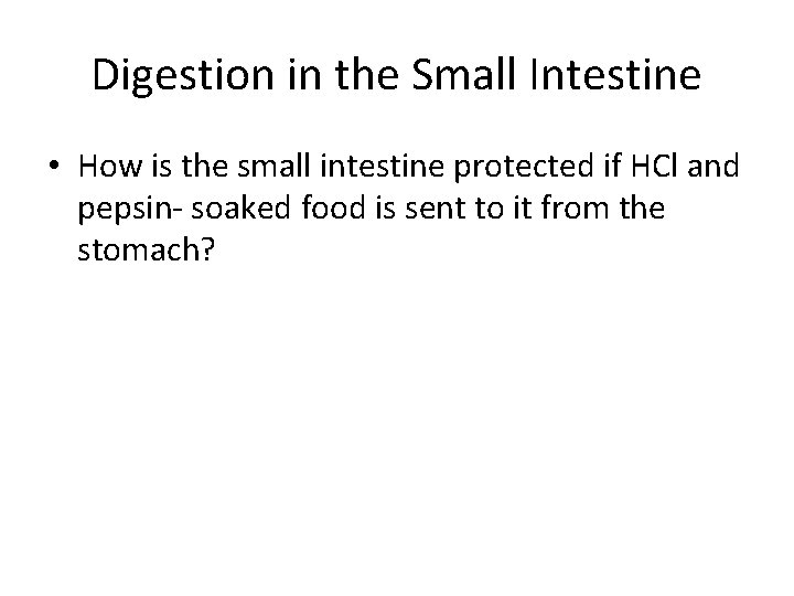 Digestion in the Small Intestine • How is the small intestine protected if HCl