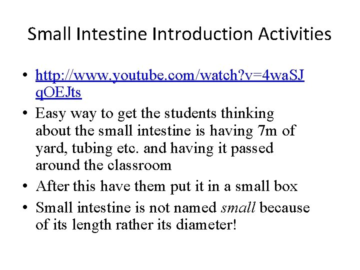 Small Intestine Introduction Activities • http: //www. youtube. com/watch? v=4 wa. SJ q. OEJts