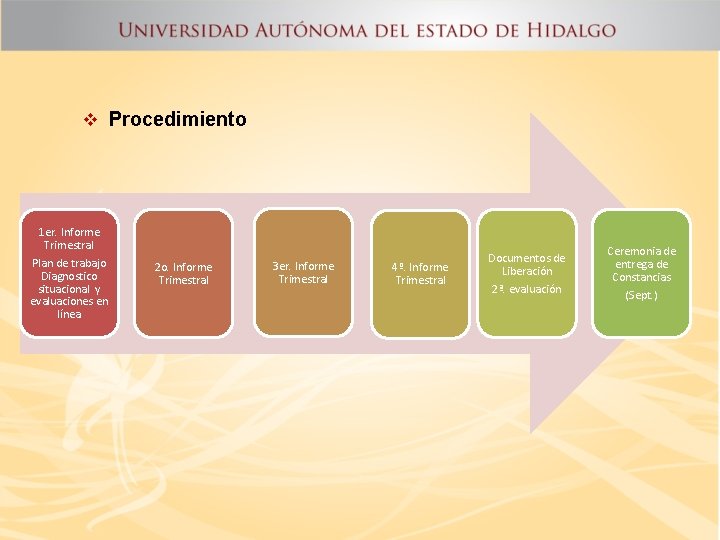 v Procedimiento 1 er. Informe Trimestral Plan de trabajo Diagnostico situacional y evaluaciones en