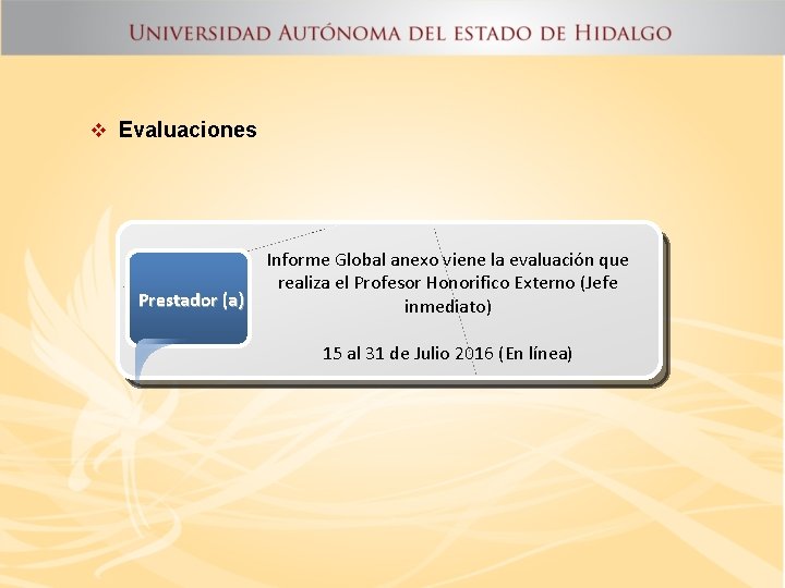 v Evaluaciones Prestador (a) Informe Global anexo viene la evaluación que realiza el Profesor