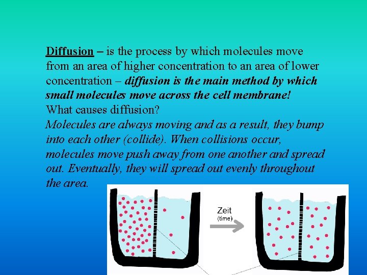 Diffusion – is the process by which molecules move from an area of higher