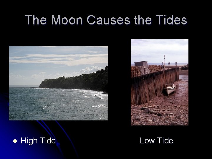 The Moon Causes the Tides l High Tide Low Tide 