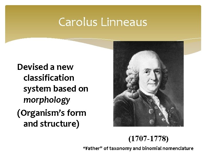 Carolus Linneaus Devised a new classification system based on morphology (Organism’s form and structure)