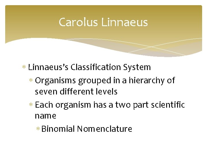Carolus Linnaeus’s Classification System Organisms grouped in a hierarchy of seven different levels Each