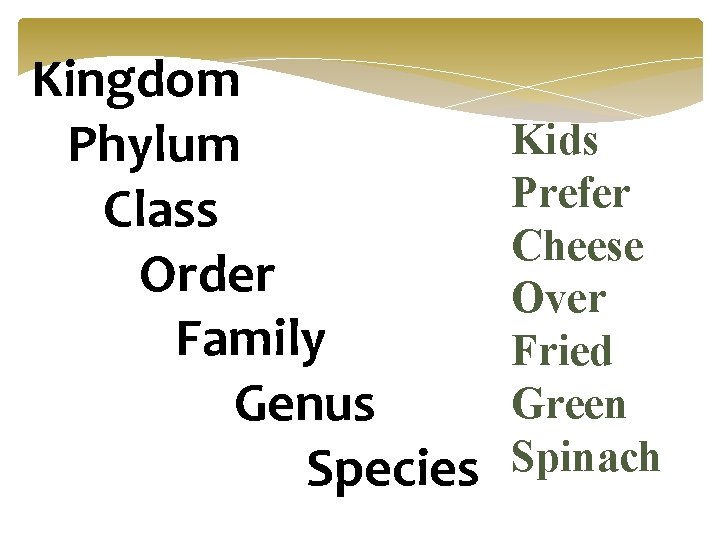 Kingdom Phylum Class Order Family Genus Species Kids Prefer Cheese Over Fried Green Spinach