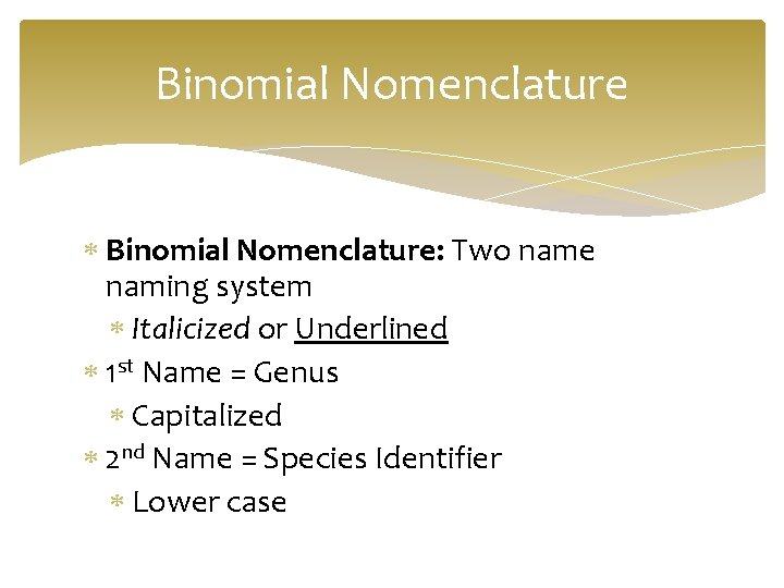 Binomial Nomenclature Binomial Nomenclature: Two name naming system Italicized or Underlined 1 st Name