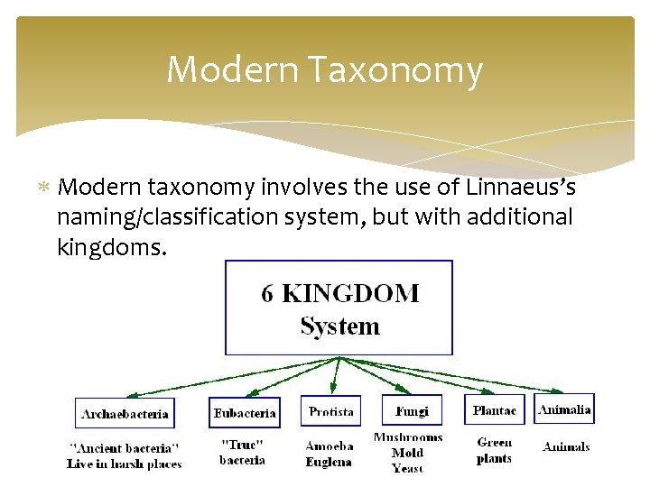 Modern Taxonomy Modern taxonomy involves the use of Linnaeus’s naming/classification system, but with additional