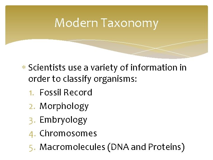 Modern Taxonomy Scientists use a variety of information in order to classify organisms: 1.
