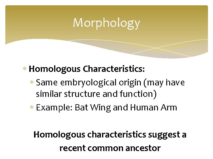 Morphology Homologous Characteristics: Same embryological origin (may have similar structure and function) Example: Bat