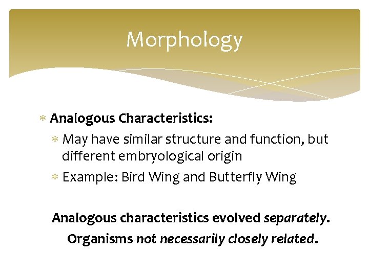 Morphology Analogous Characteristics: May have similar structure and function, but different embryological origin Example: