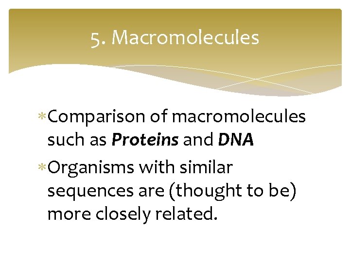 5. Macromolecules Comparison of macromolecules such as Proteins and DNA Organisms with similar sequences