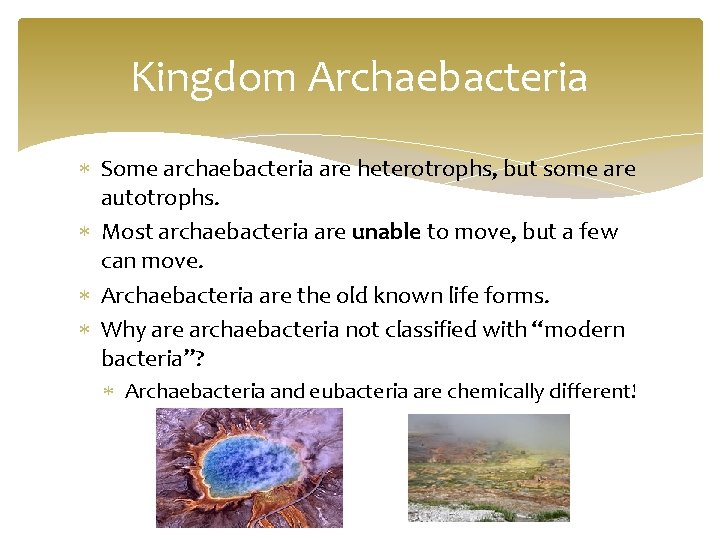 Kingdom Archaebacteria Some archaebacteria are heterotrophs, but some are autotrophs. Most archaebacteria are unable