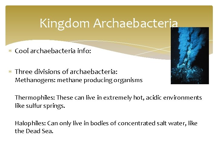 Kingdom Archaebacteria Cool archaebacteria info: Three divisions of archaebacteria: Methanogens: methane producing organisms Thermophiles: