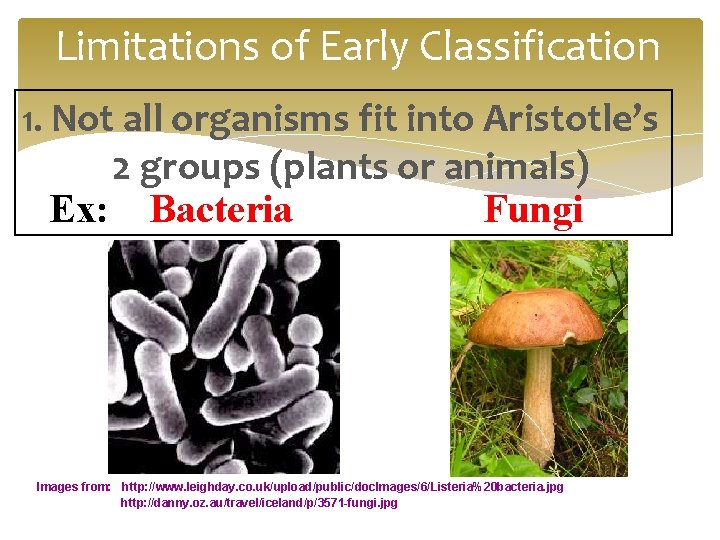 Limitations of Early Classification 1. Not all organisms fit into Aristotle’s 2 groups (plants