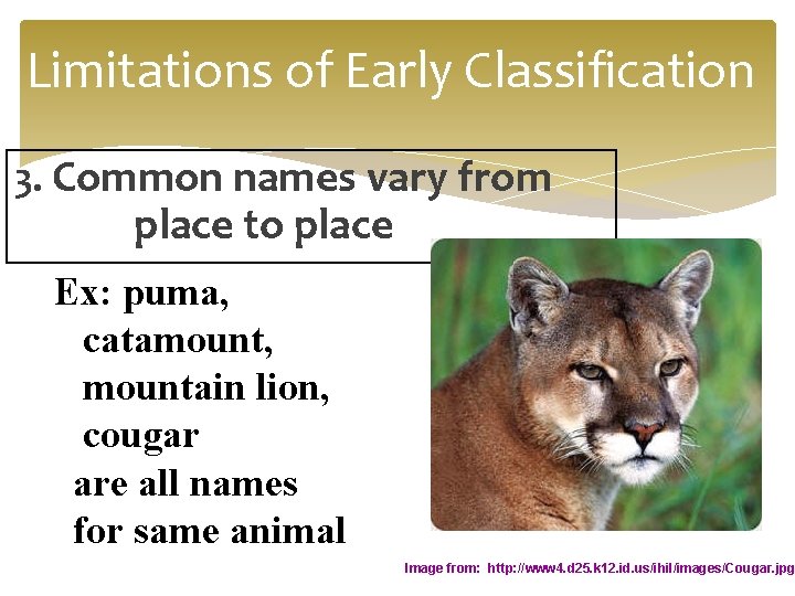 Limitations of Early Classification 3. Common names vary from place to place Ex: puma,