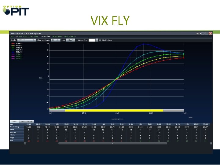 VIX FLY 