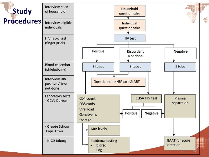 Study Procedures 