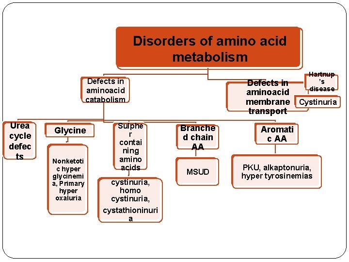 Disorders of amino acid metabolism Defects in aminoacid catabolism Urea cycle defec ts Glycine
