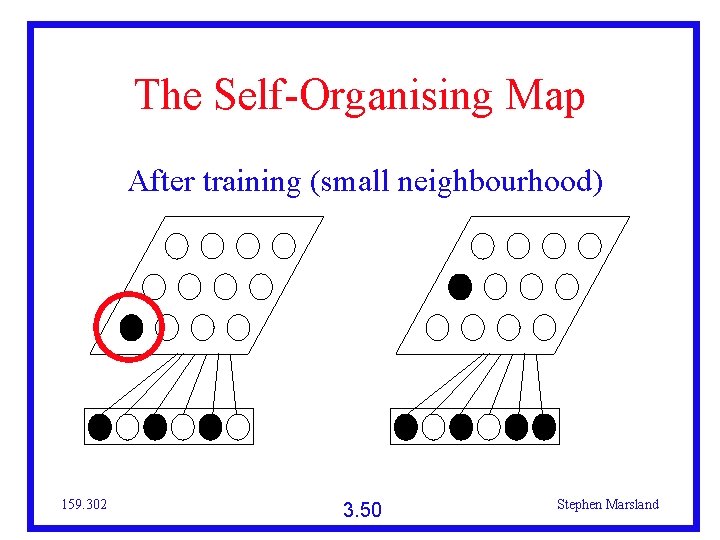 The Self-Organising Map After training (small neighbourhood) 159. 302 3. 50 Stephen Marsland 