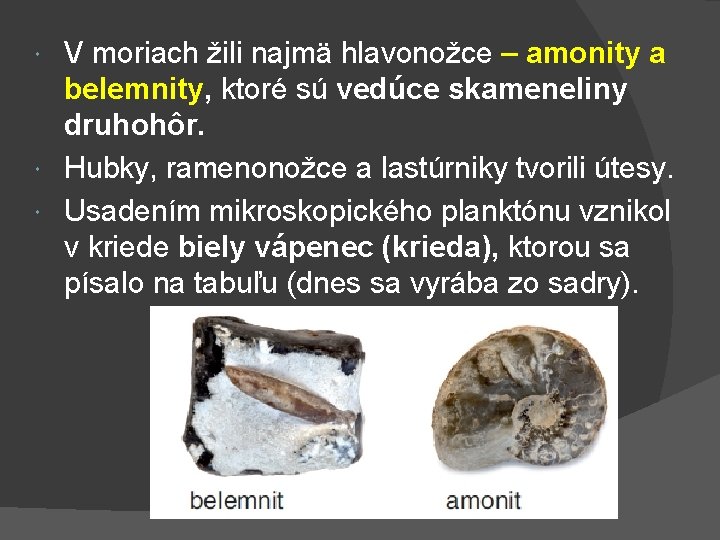 V moriach žili najmä hlavonožce – amonity a belemnity, ktoré sú vedúce skameneliny druhohôr.