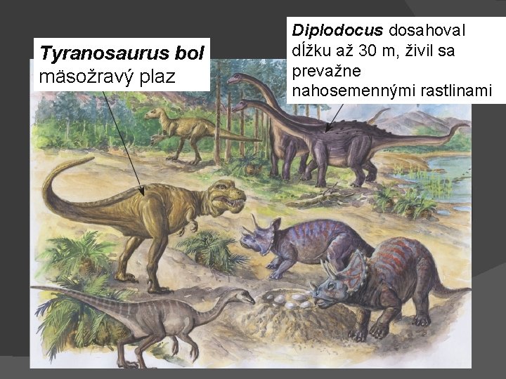 Tyranosaurus bol mäsožravý plaz Diplodocus dosahoval dĺžku až 30 m, živil sa prevažne nahosemennými