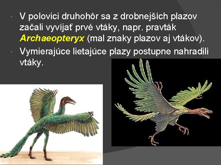 V polovici druhohôr sa z drobnejších plazov začali vyvíjať prvé vtáky, napr. pravták Archaeopteryx