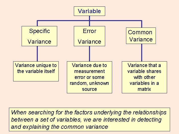 Variable Specific Error Variance unique to the variable itself Variance due to measurement error