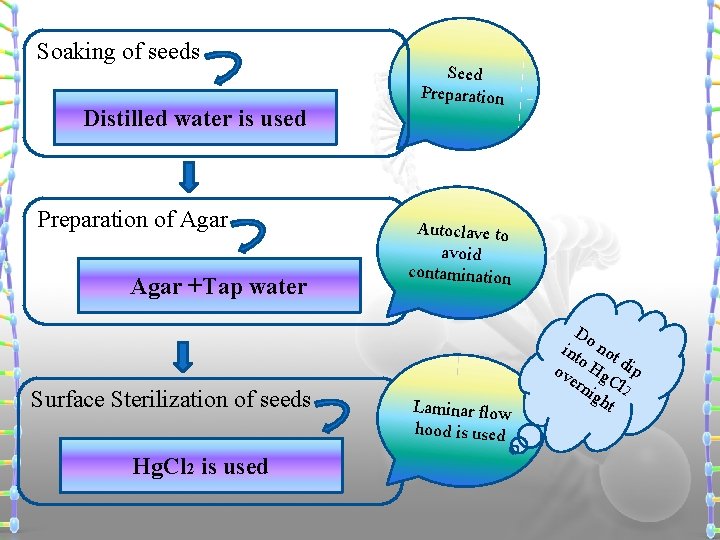 Soaking of seeds Distilled water is used Preparation of Agar +Tap water Surface Sterilization