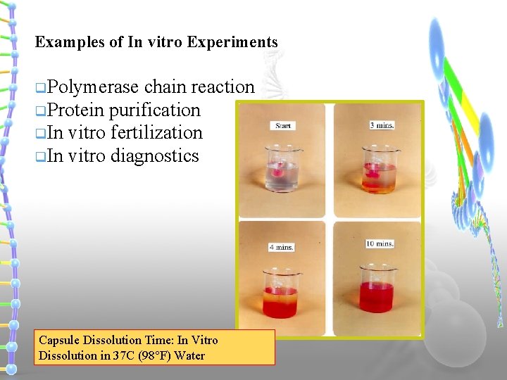 Examples of In vitro Experiments q. Polymerase chain reaction q. Protein purification q. In