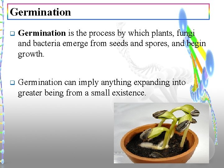 Germination q Germination is the process by which plants, fungi and bacteria emerge from