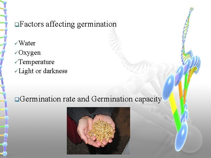 q. Factors affecting germination üWater üOxygen üTemperature üLight or darkness q. Germination rate and
