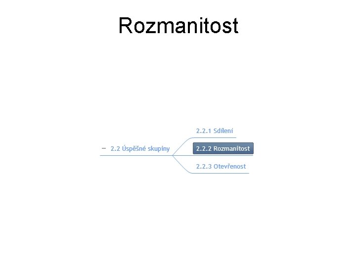 Rozmanitost 
