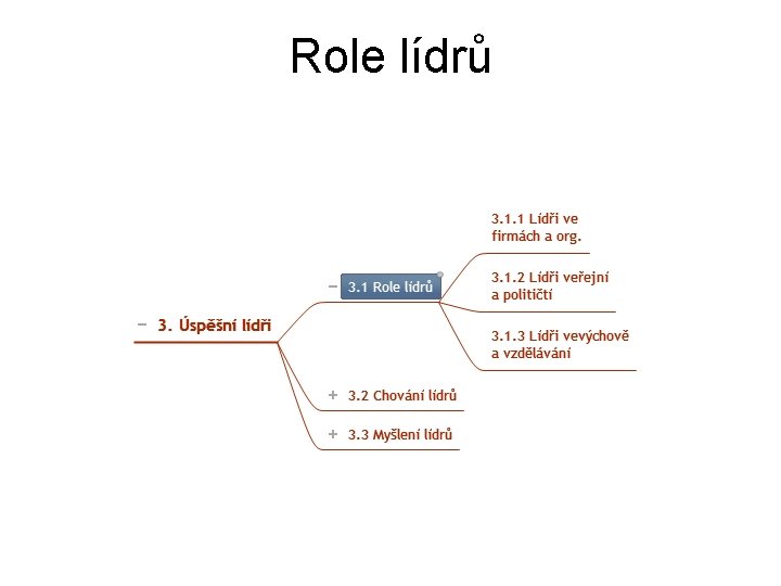 Role lídrů 