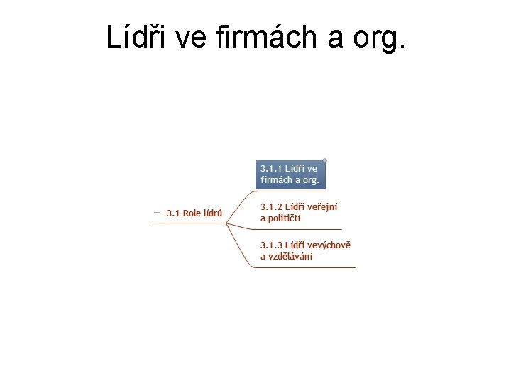 Lídři ve firmách a org. 