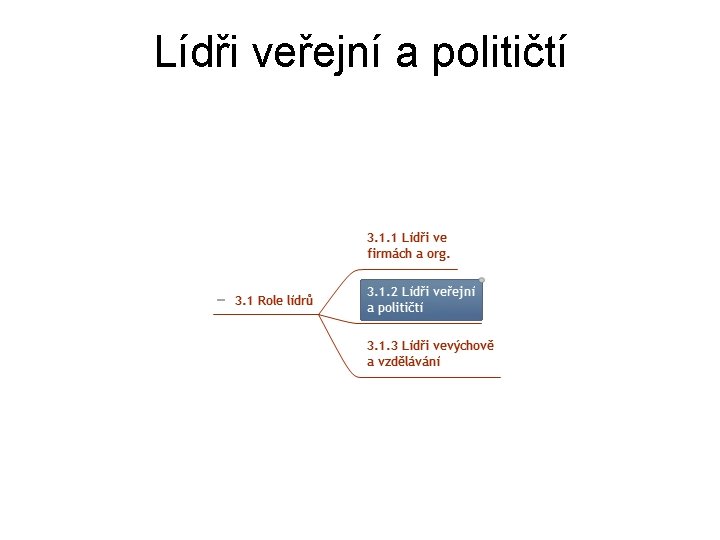 Lídři veřejní a političtí 