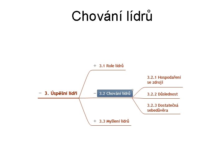 Chování lídrů 
