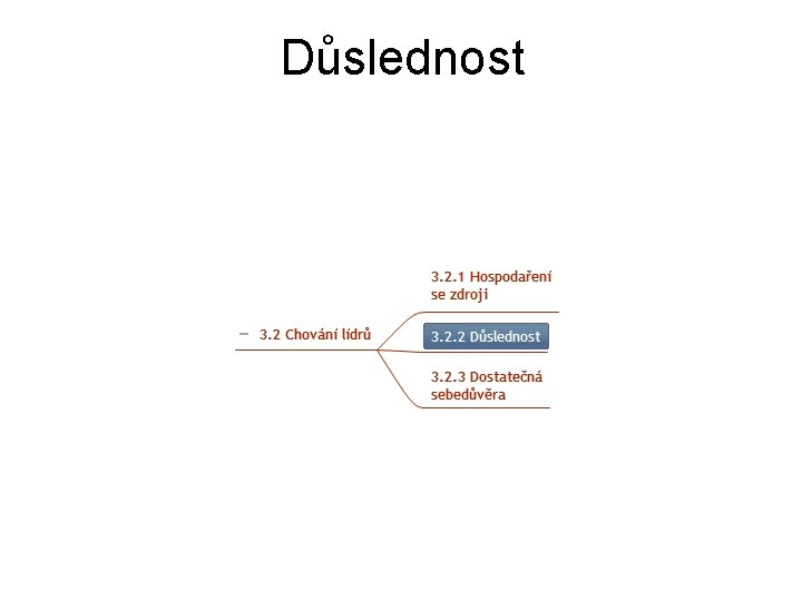 Důslednost 